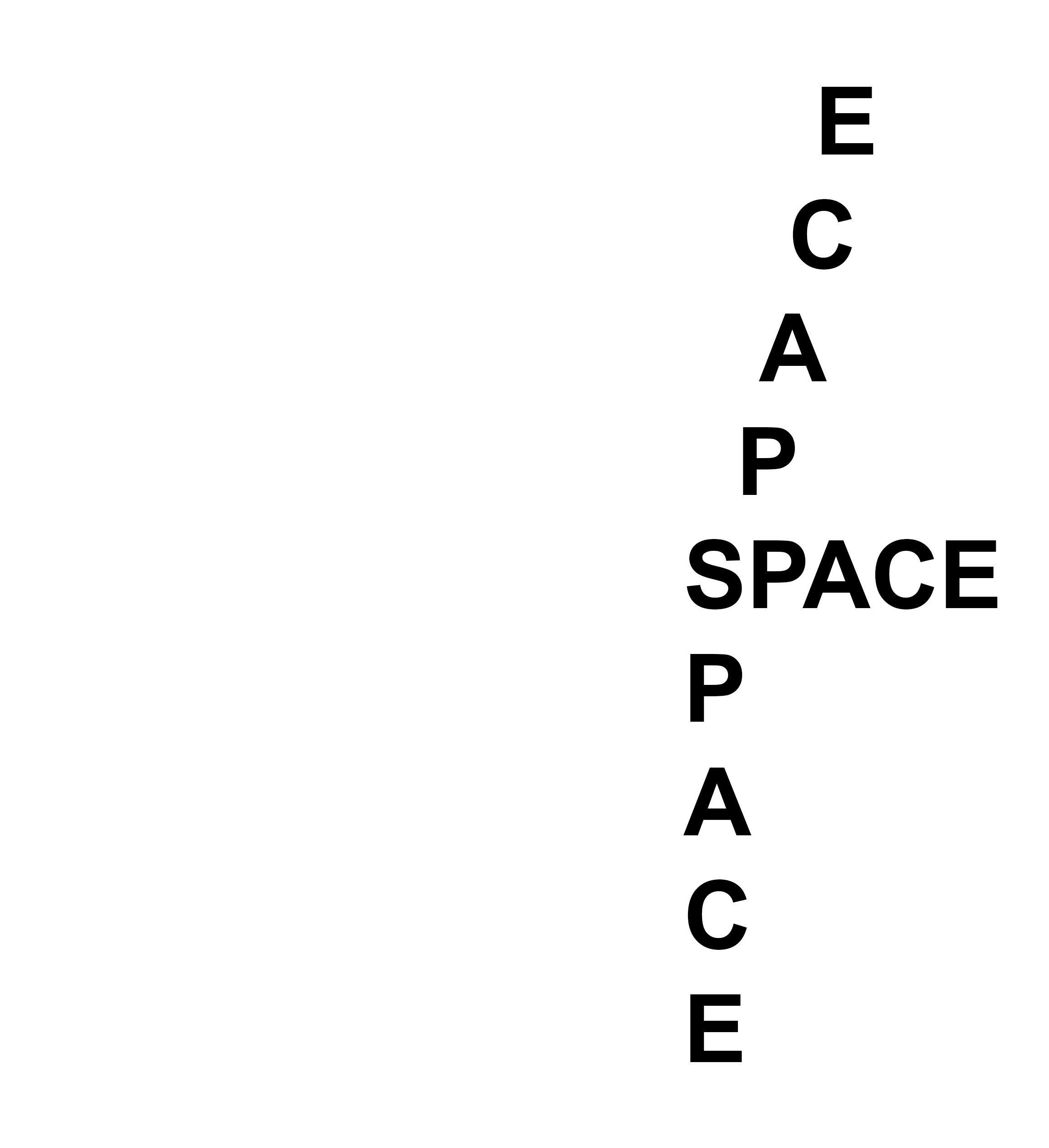 SPACEFISH 2307